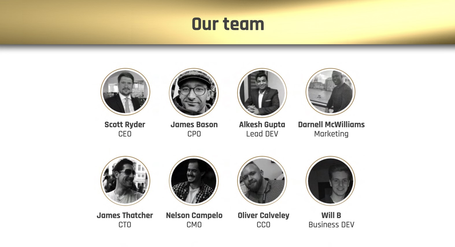 Team section of the 2022 version of the project’s white paper