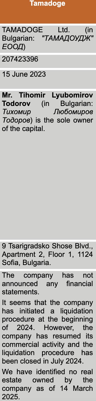 thiomir todorov owns tamadoge ltd on paper