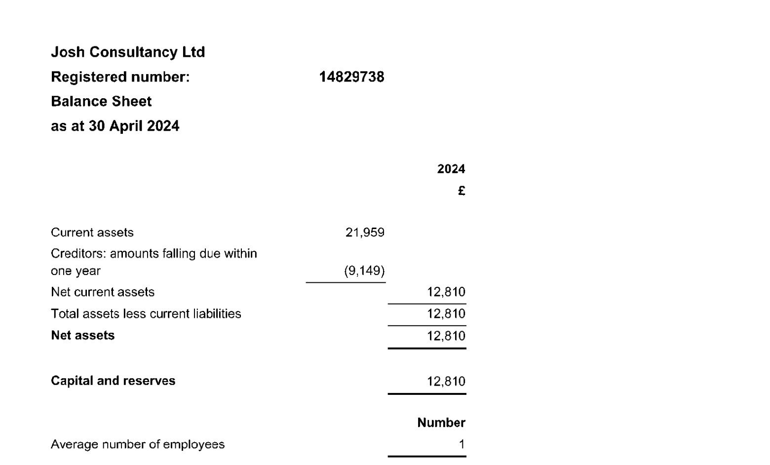 josh consultancy list just 12,810 GBP capital and reserves